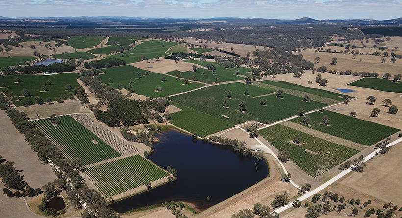 Eden Hall Vineyard